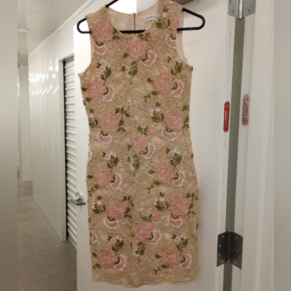 Calvin Klein dress - Picture 1 of 8